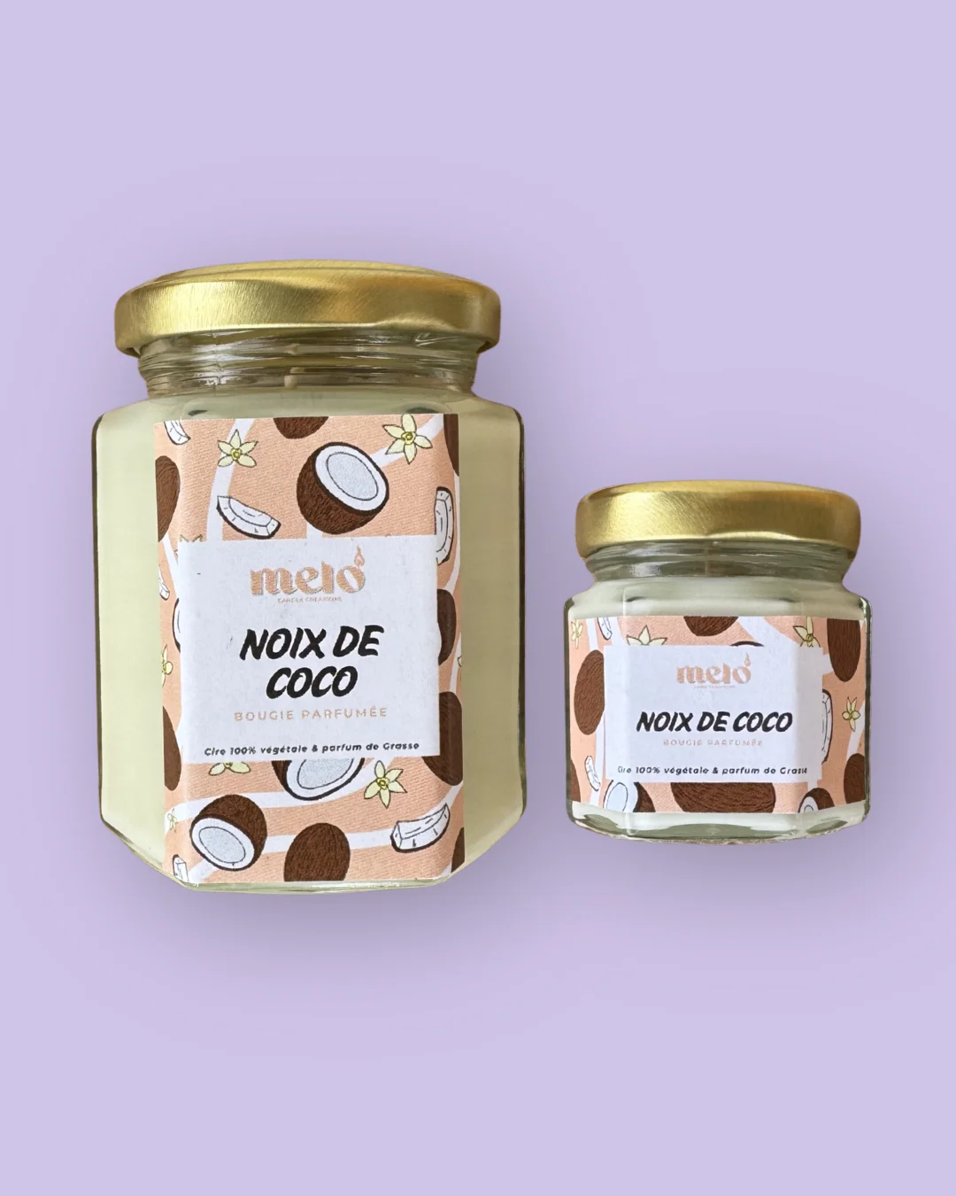 Noix de Coco deux formats 145g et 33g