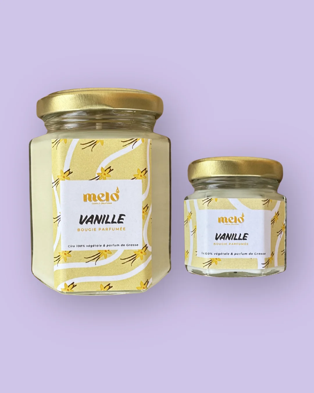 Vanille deux formats 145g et 33g